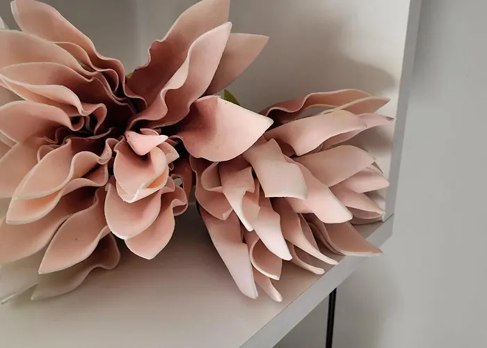 בית הארחה Blu