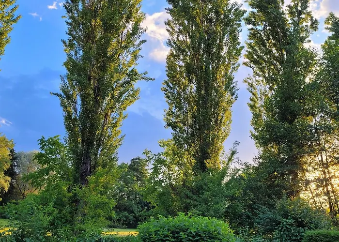 בית הארחה Blu 4*