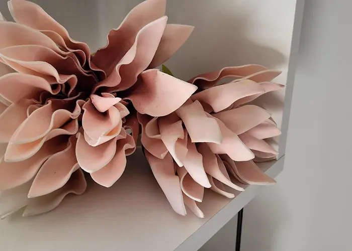 בית הארחה Blu